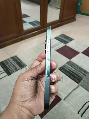 Apple iPhone 13 Pro 256GB (Used)