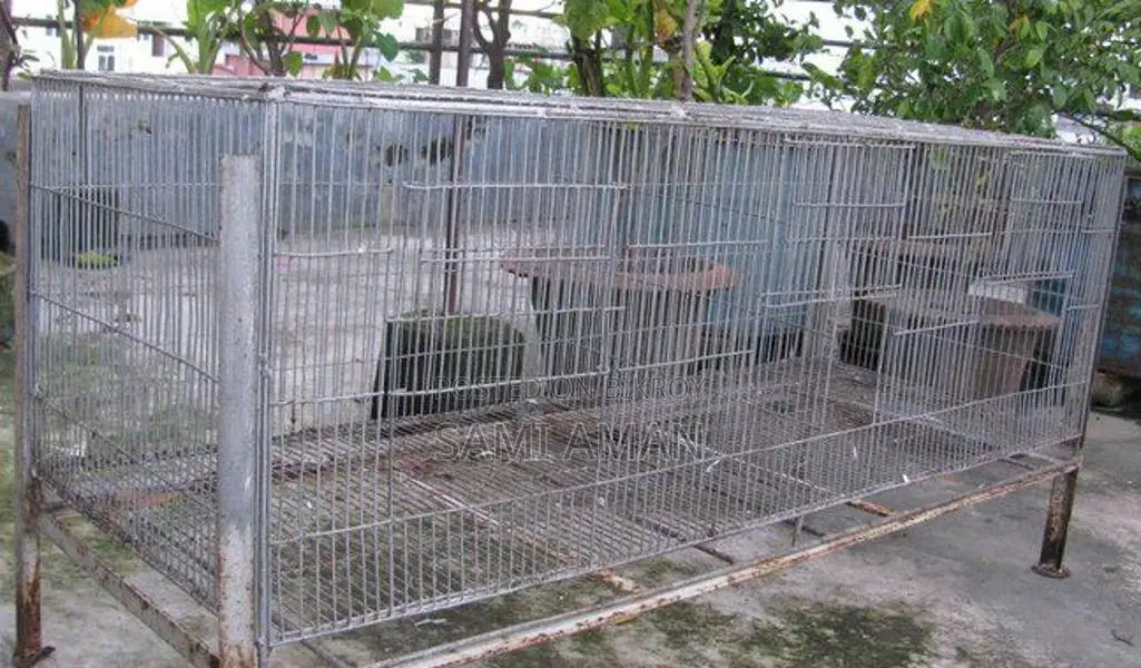 Big Bird Cage