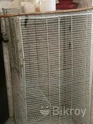 Big Bird Cage