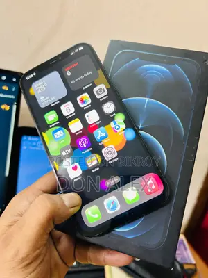 Apple iPhone 12 Pro Max 256 (Used)