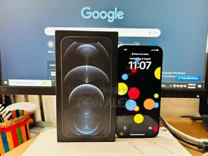 Apple iPhone 12 Pro Max 256 (Used)