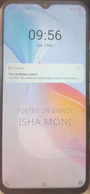 Vivo Y33s 2024 (Used)