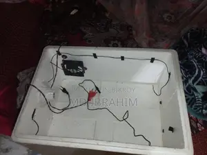 ইনকিউবেটর বিক্রয় হবে