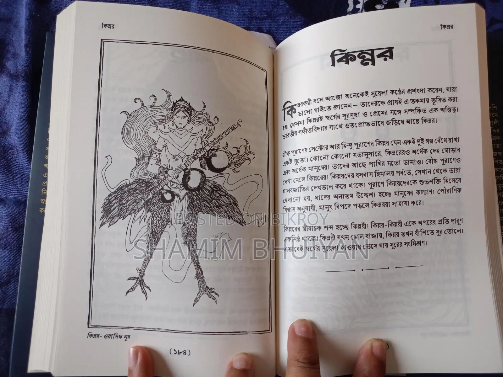 Fiction Book - Supernatural Vol. 1