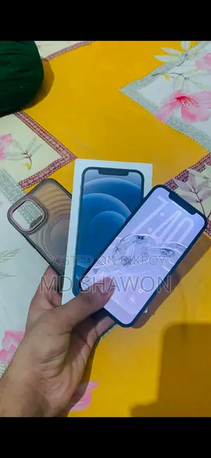 Apple iPhone 12 (Used)