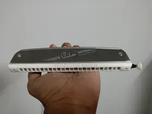 পালস ক্রোমাটিক হারমোনিকা ২৪ হোলস