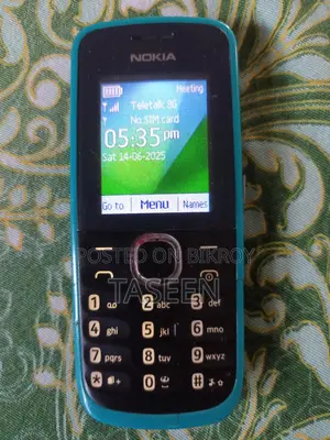 Nokia 110 (Used)
