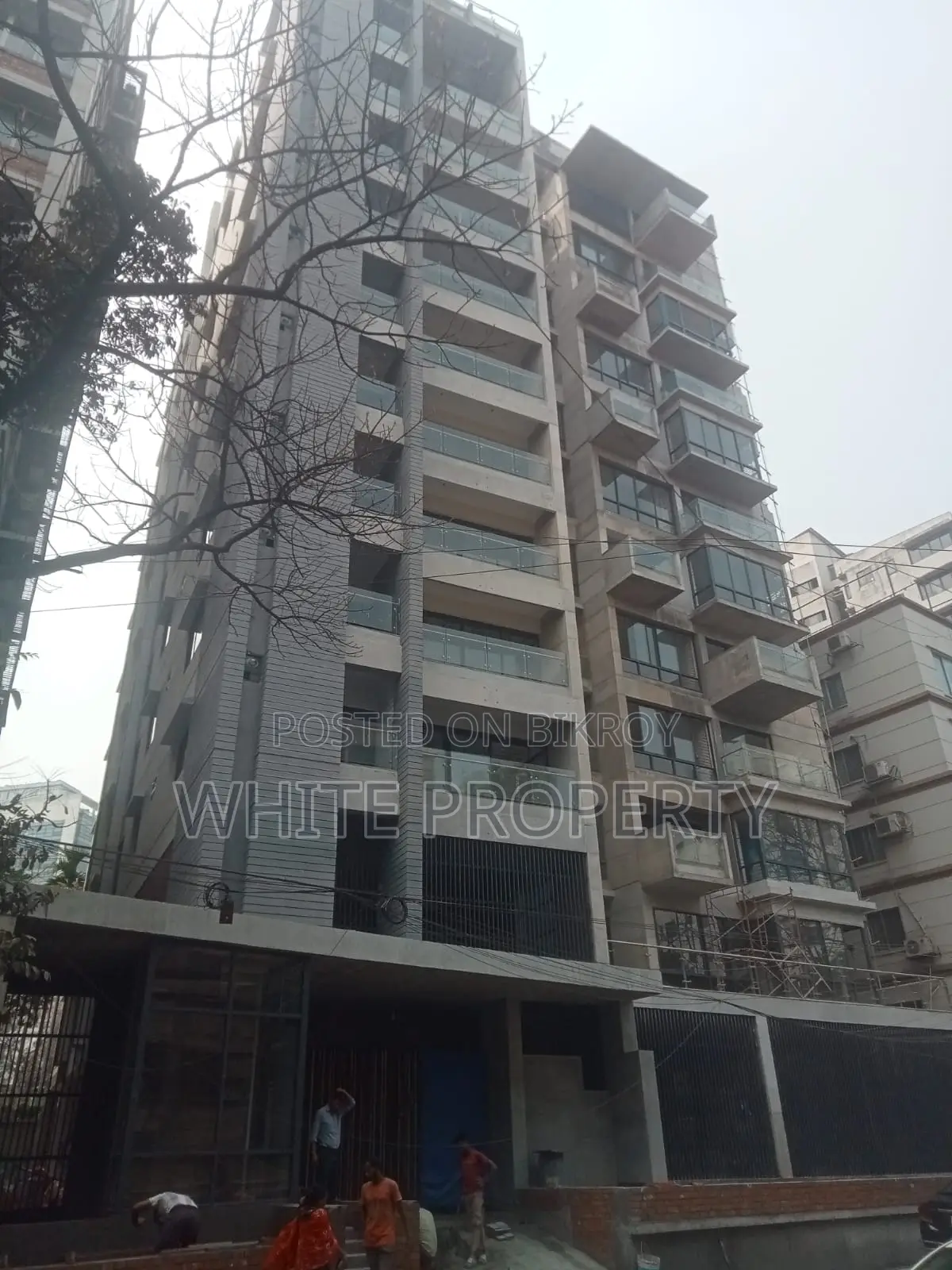 Luxurious Apartment Sale at North Banani Road 23