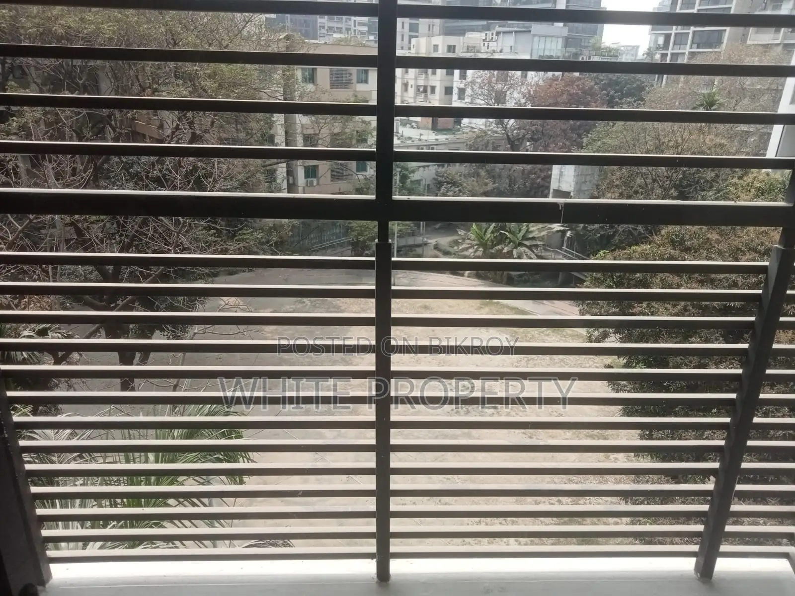 Luxurious Apartment Sale at North Banani Road 23