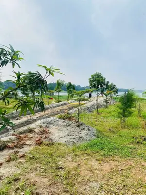 Buy Plots on Installment! 3, 5, and 10 Katha Plots!