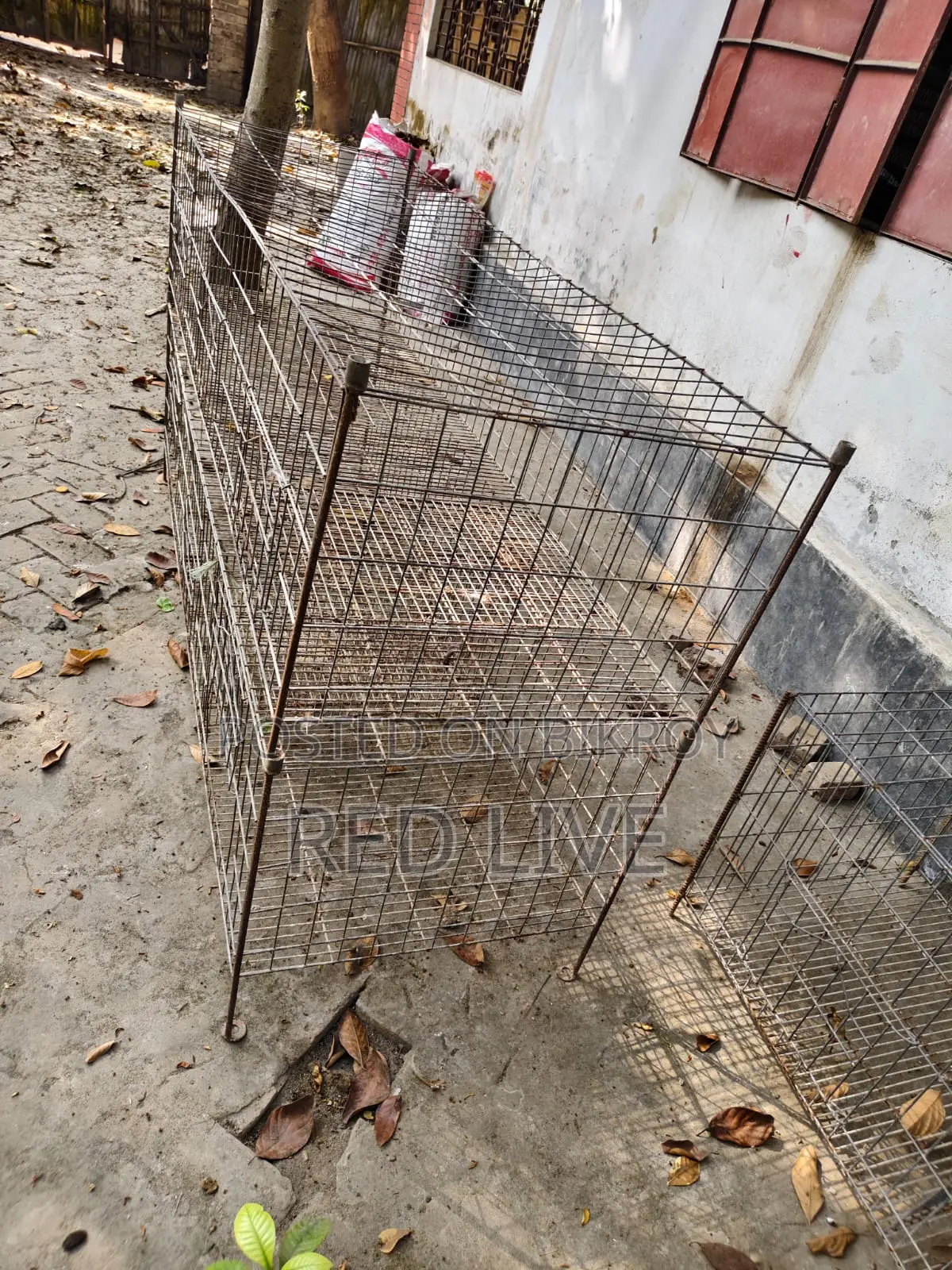 খাঁচা বিক্রি