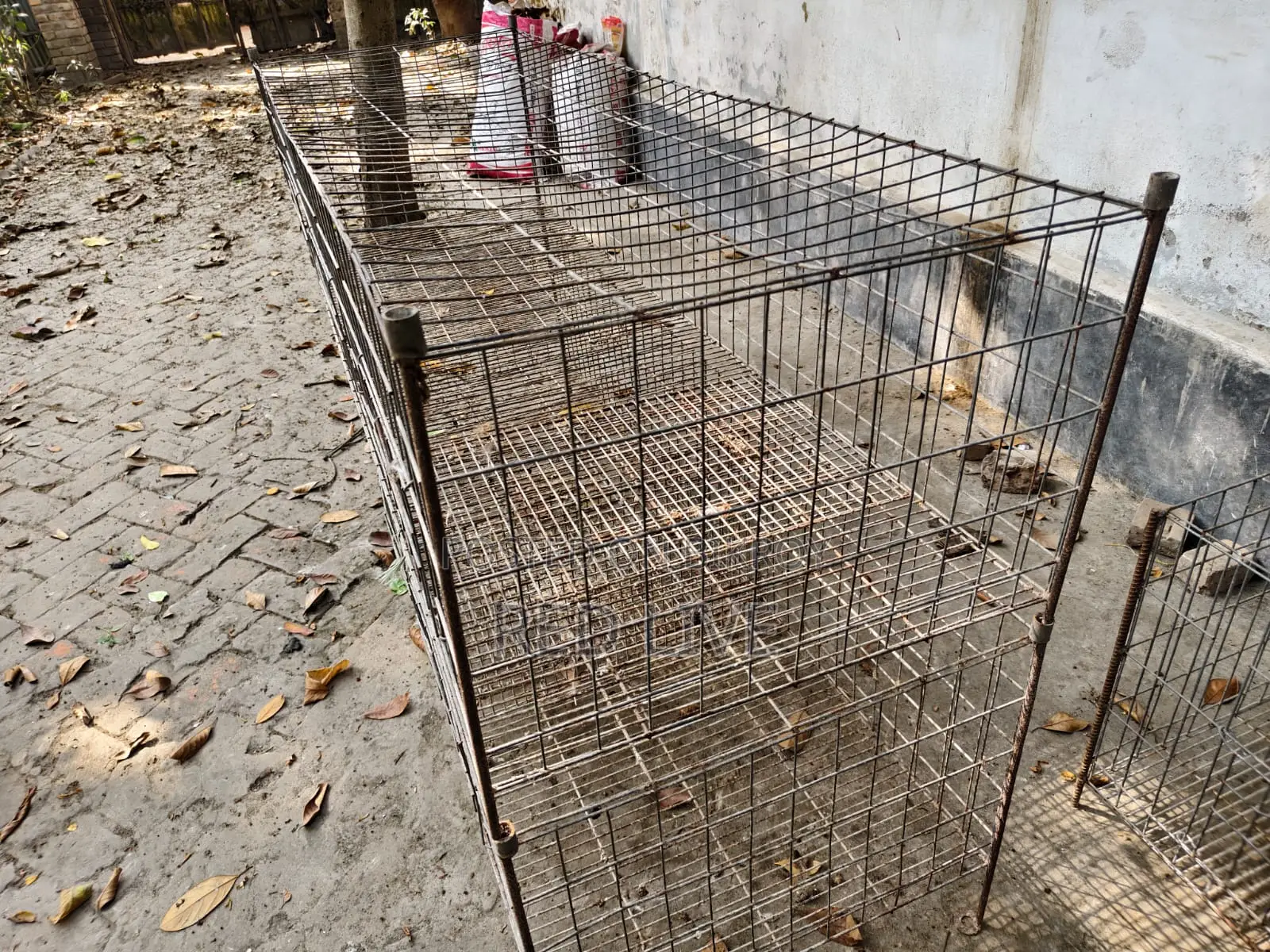 খাঁচা বিক্রি