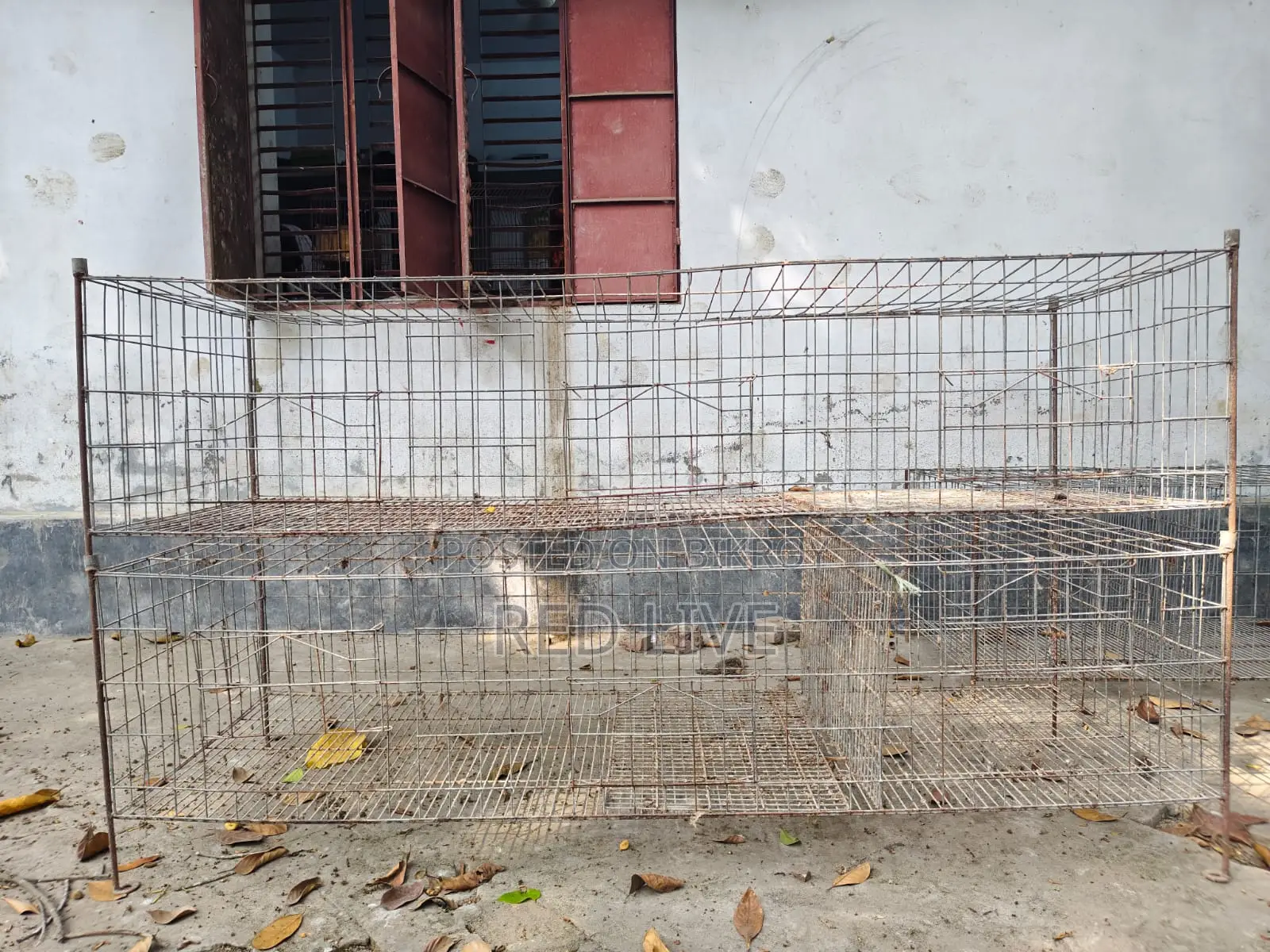 খাঁচা বিক্রি