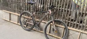 Gold Marin 300 - 27 inch