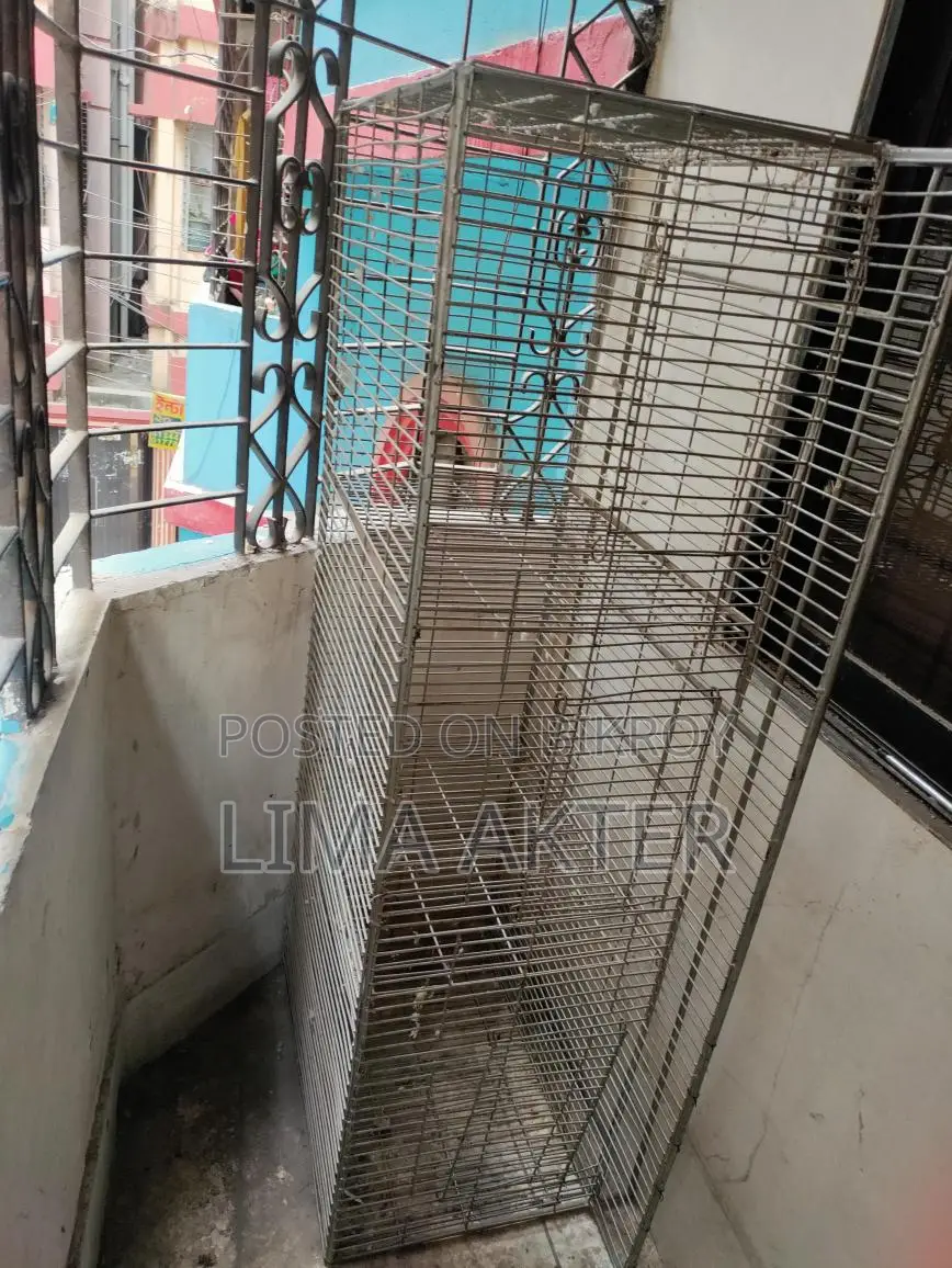1 Pigeon Cage for Sale