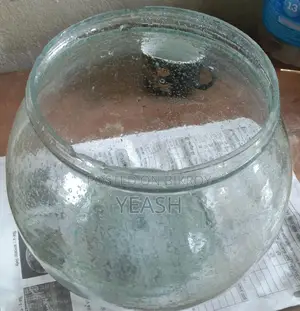 Fish Bowl 10 inch aquarium