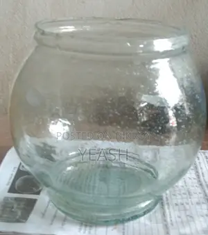Fish Bowl 10 inch aquarium