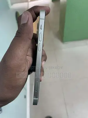 Apple iPhone 12 (Used)