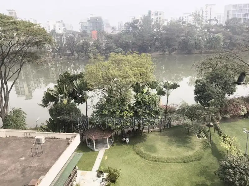 Fully Furniture 3-Bedroom 3200sft 2-Carpark Gulshan-2