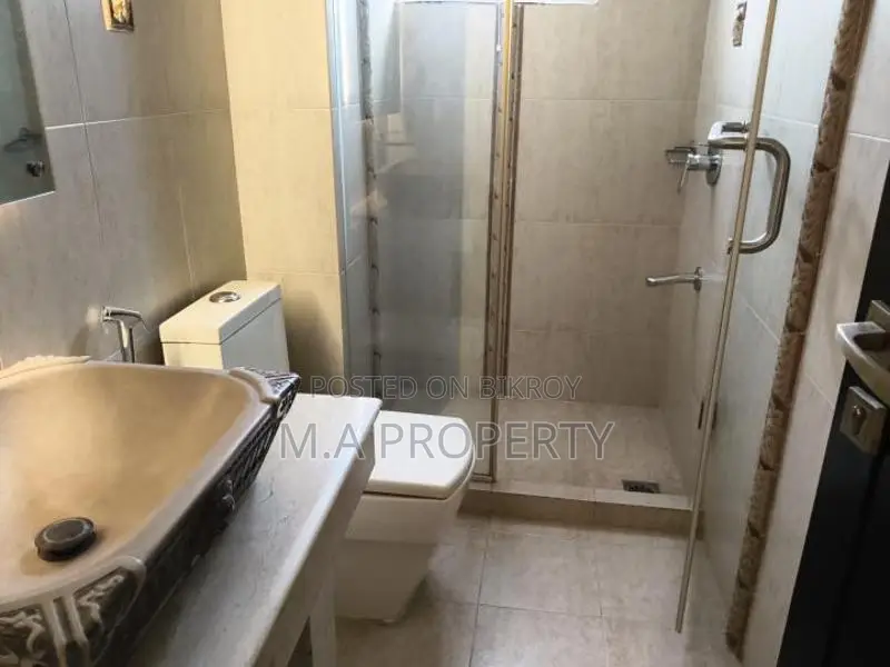 Fully Furniture 3-Bedroom 3200sft 2-Carpark Gulshan-2