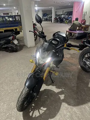 Hero Thriller 160R Refresh . 2024