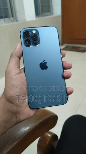 Apple iPhone 12 Pro Max (Used)