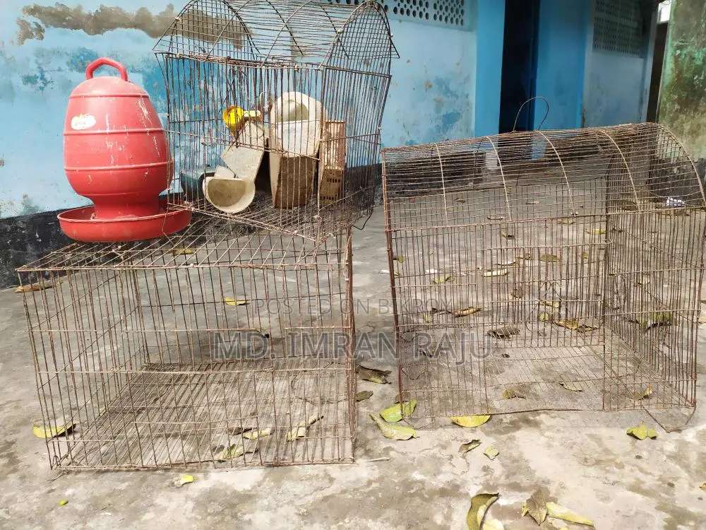 খাচা বিক্রি করা হবে