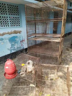 খাচা বিক্রি করা হবে