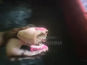 Sports Boot