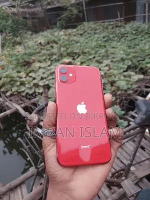 Apple iPhone 11 (Used)