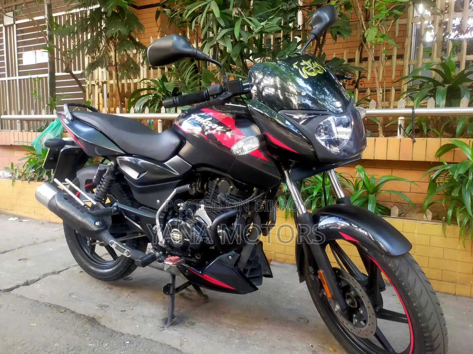 Bajaj Pulsar 150 SD 2024