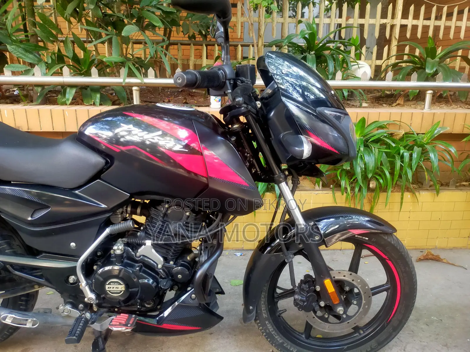 Bajaj Pulsar 150 SD 2024
