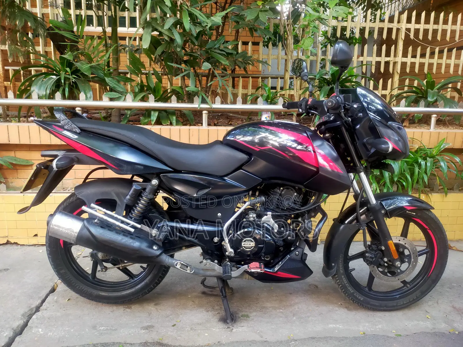 Bajaj Pulsar 150 SD 2024