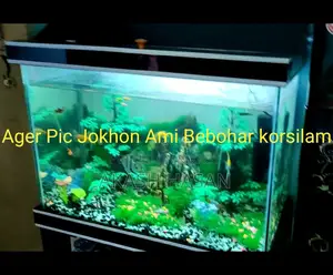 অ্যাকোয়ারিয়াম ১০ মিমি গ্লাস