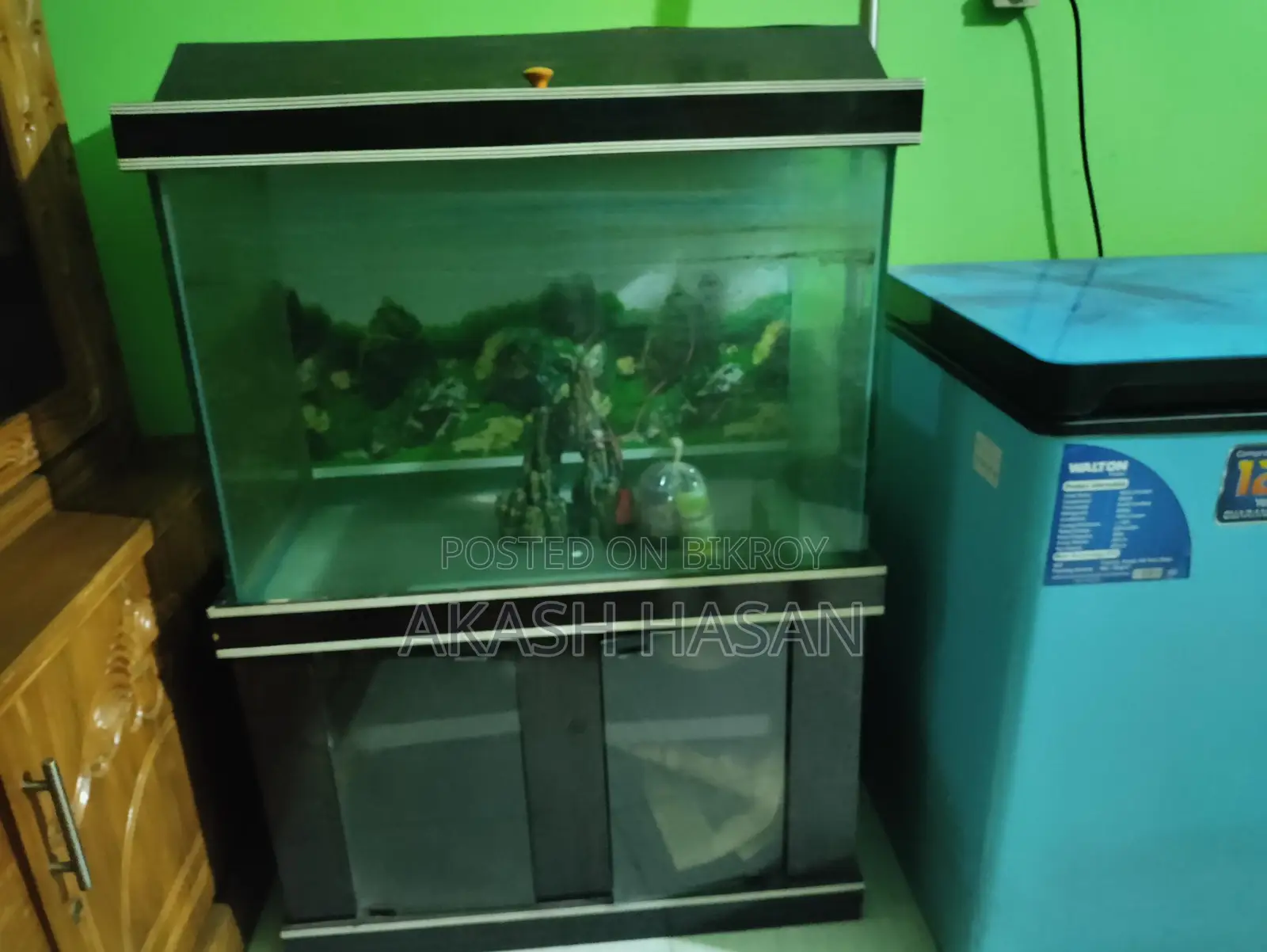 অ্যাকোয়ারিয়াম ১০ মিমি গ্লাস