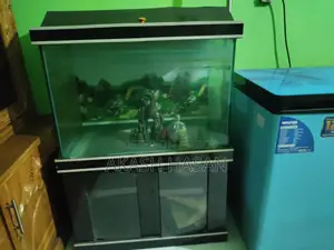 অ্যাকোয়ারিয়াম ১০ মিমি গ্লাস