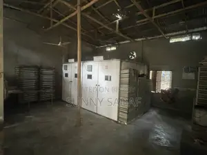 ইনকিউবেটর মেশিন