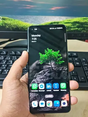 OnePlus Nord 2 5G (Used)