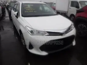Toyota Axio Hybrid/Octane 2020