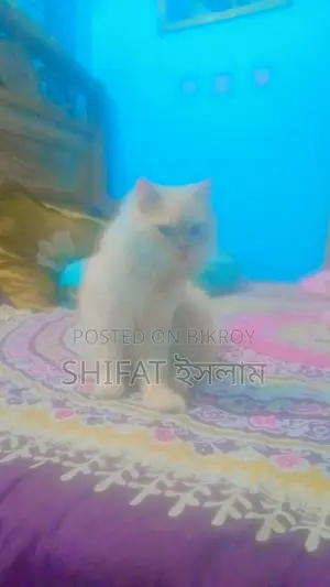 Sell Post