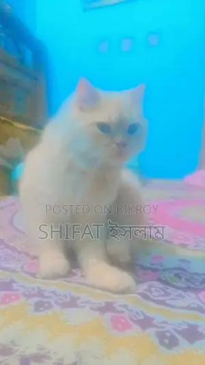 Sell Post