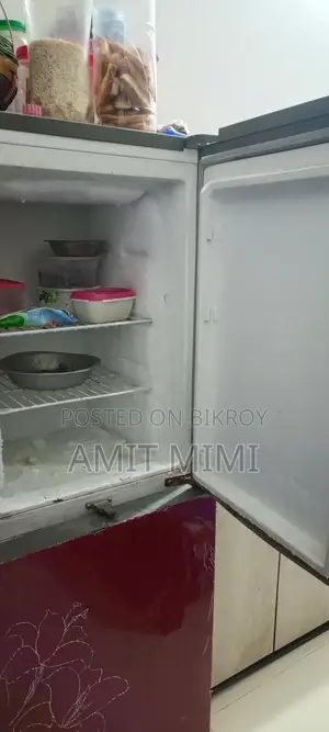Selling Vision Fridge
