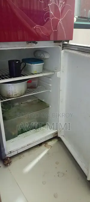 Selling Vision Fridge