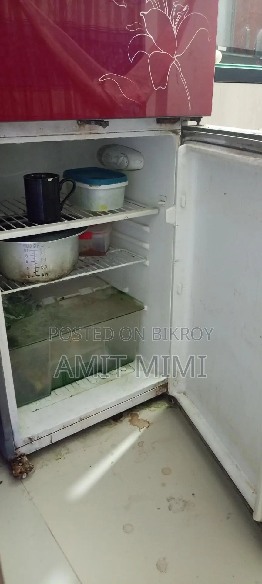 Selling Vision Fridge
