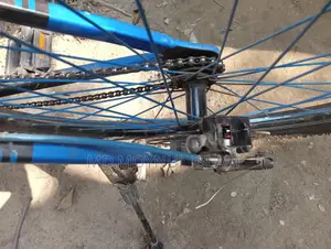 Mustang Bicycle Black And Blue Edition
