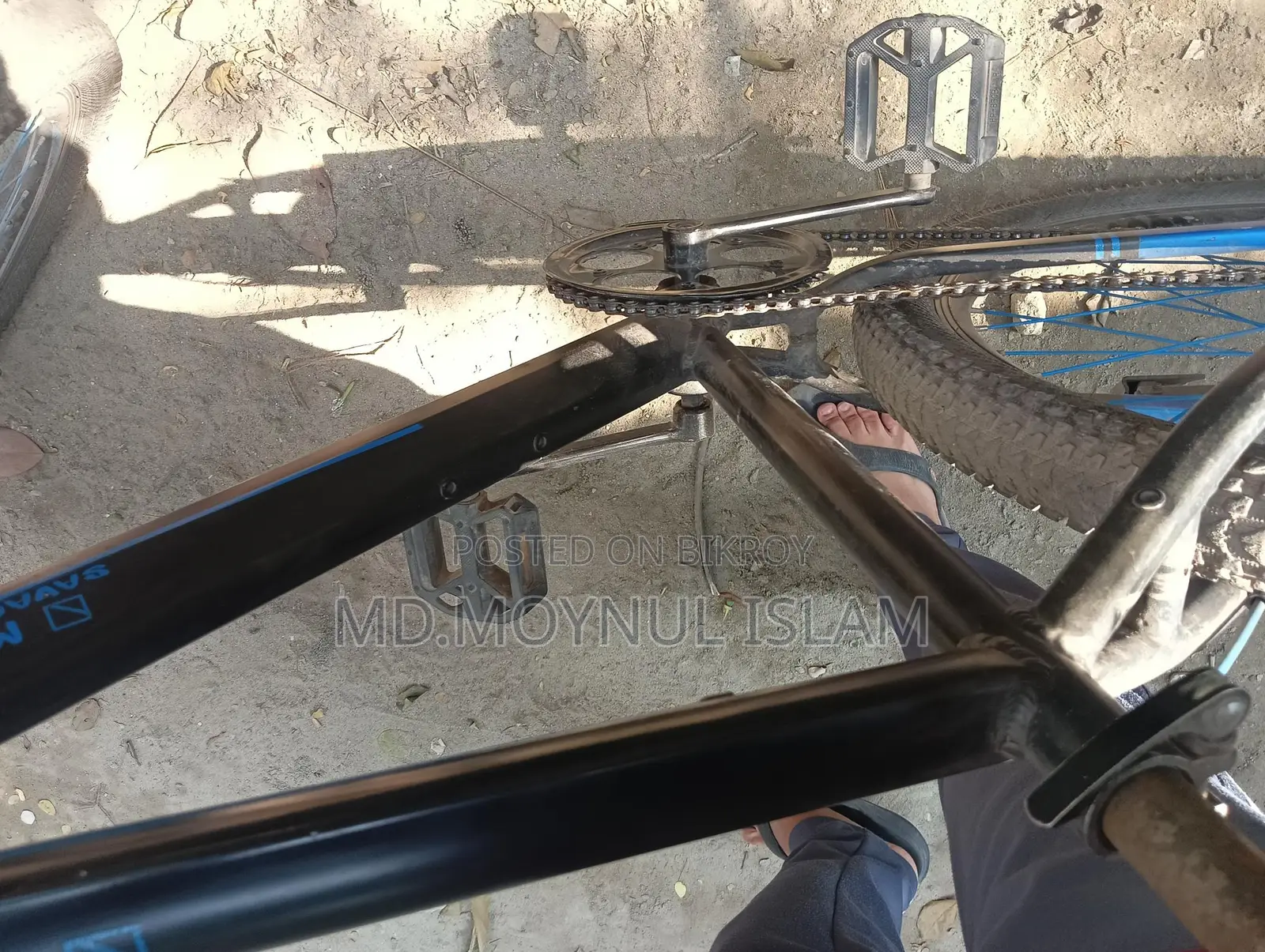 Mustang Bicycle Black And Blue Edition