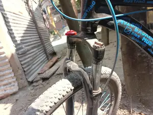 Mustang Bicycle Black And Blue Edition