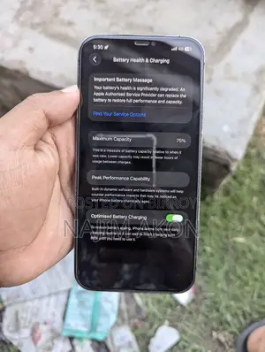 Apple iPhone 12 Pro Max (ব্যবহৃত)
