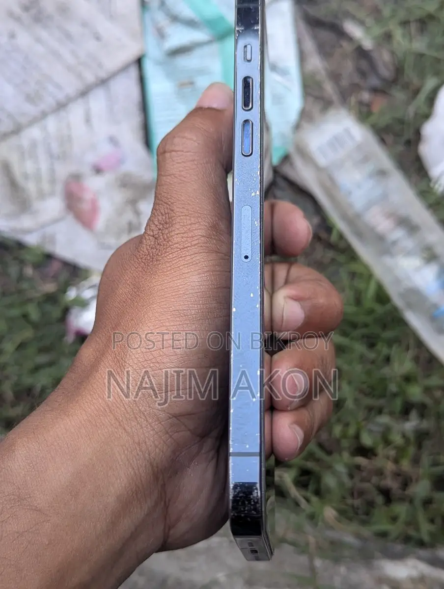 Apple iPhone 12 Pro Max (ব্যবহৃত)