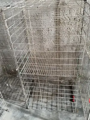 Pigeon Cage
